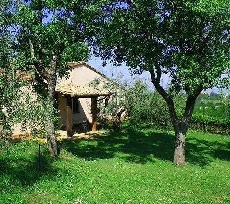 Borgo Del Castellaccio