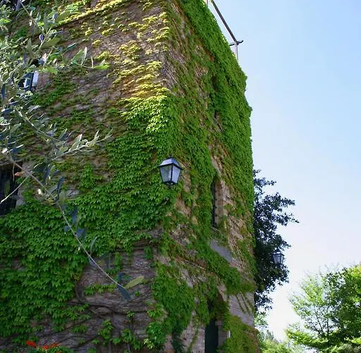 Borgo Del Castellaccio Fauglia